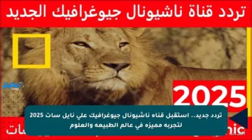 تردد جديد.. استقبل قناة ناشيونال جيوغرافيك على نايل سات 2025 لتجربة مميزة في عالم الطبيعة والعلوم
